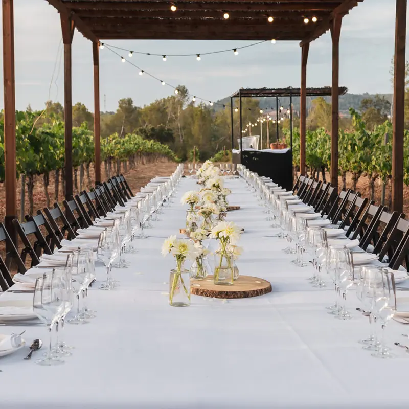 Finca con viñedo