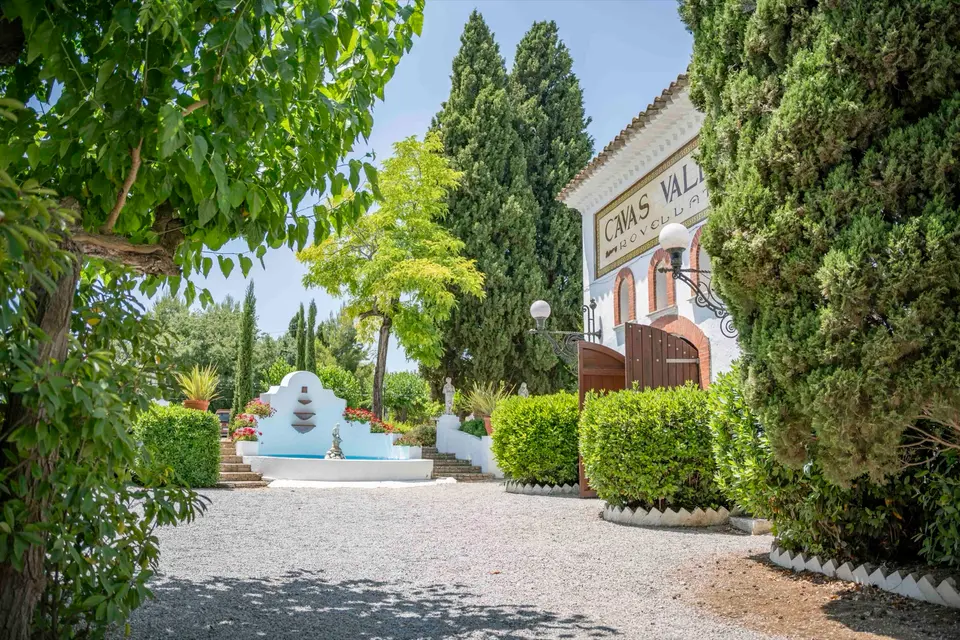 Corporate Offsites & Retreats