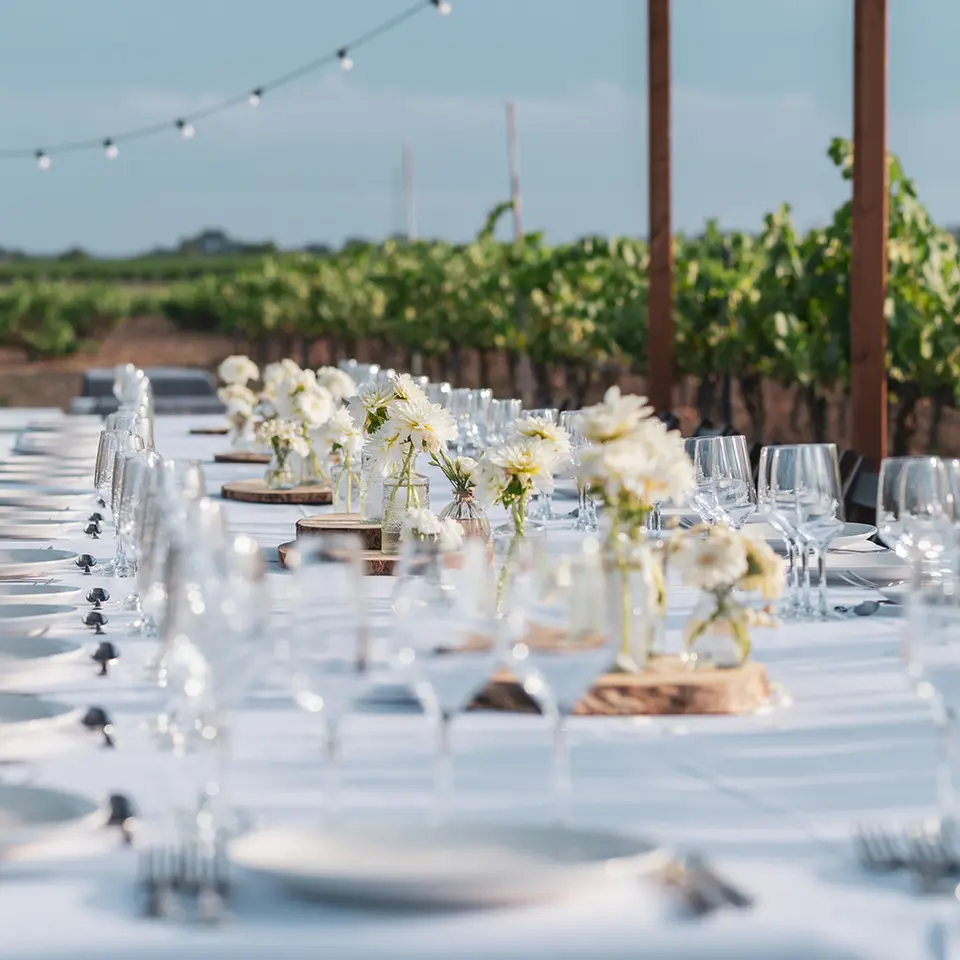 Long table with a white cloth, glasses and white flower centerpieces on wood slices, with a vineyard behind