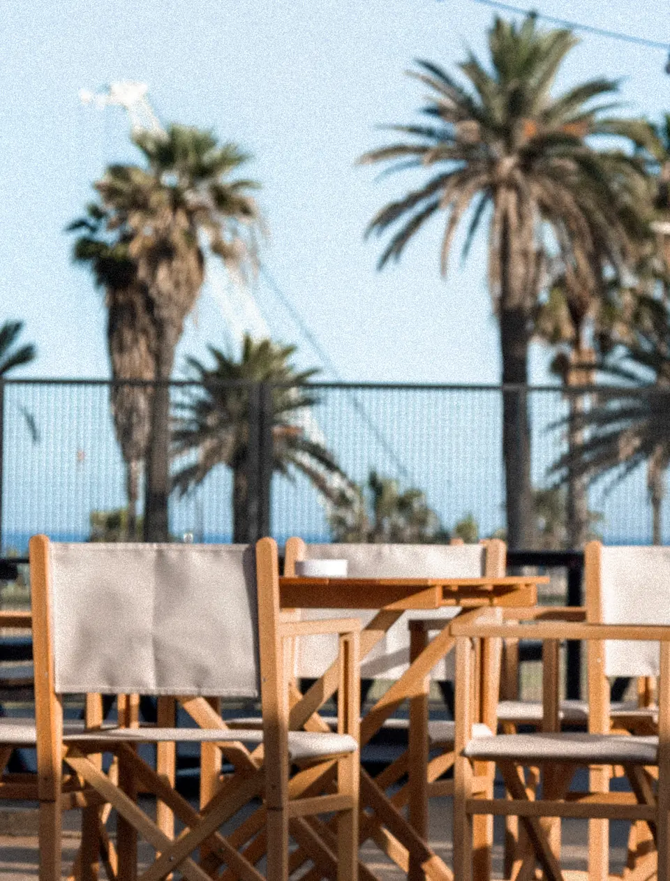 Wooden folding chairs with beige canvas in the foreground, with palm trees, a fence and the sea behind