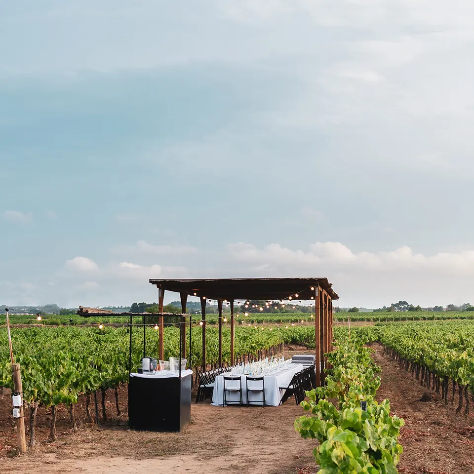 Wooden pergola with a long table set between rows of vines under a cloudy sky