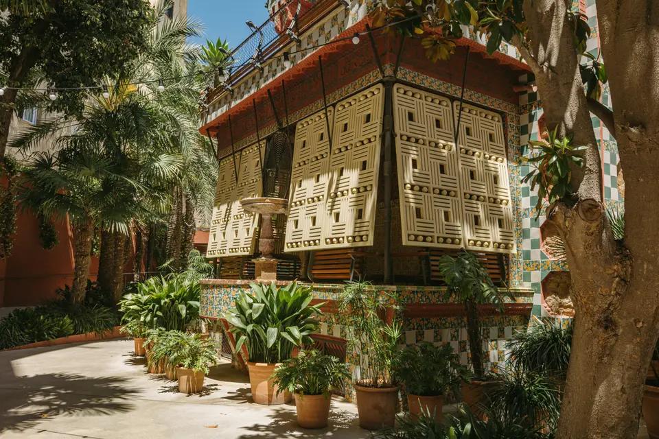 Garden with palms and potted plants in front of a façade with cream slatted shutters and tiles