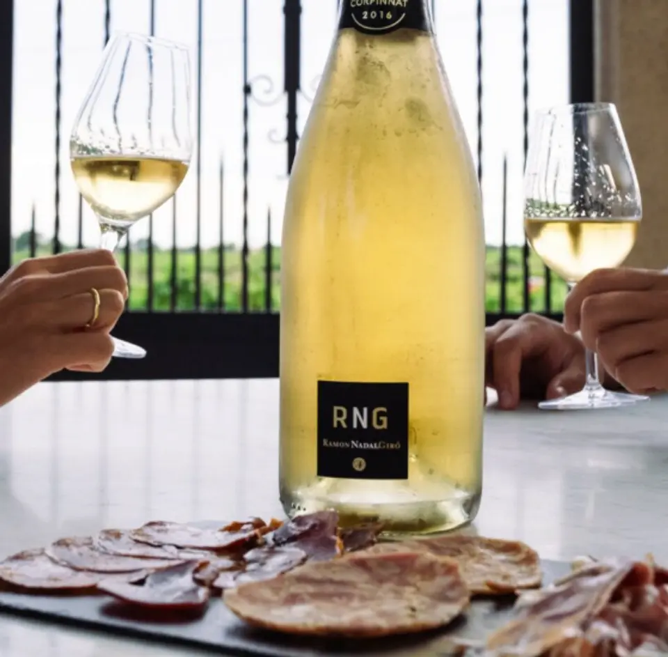 Sparkling wine bottle and two glasses of white wine on a table, with a board of cured meats in front