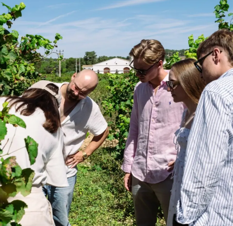 Group of people among vines looking down attentively, with a white house in the distance