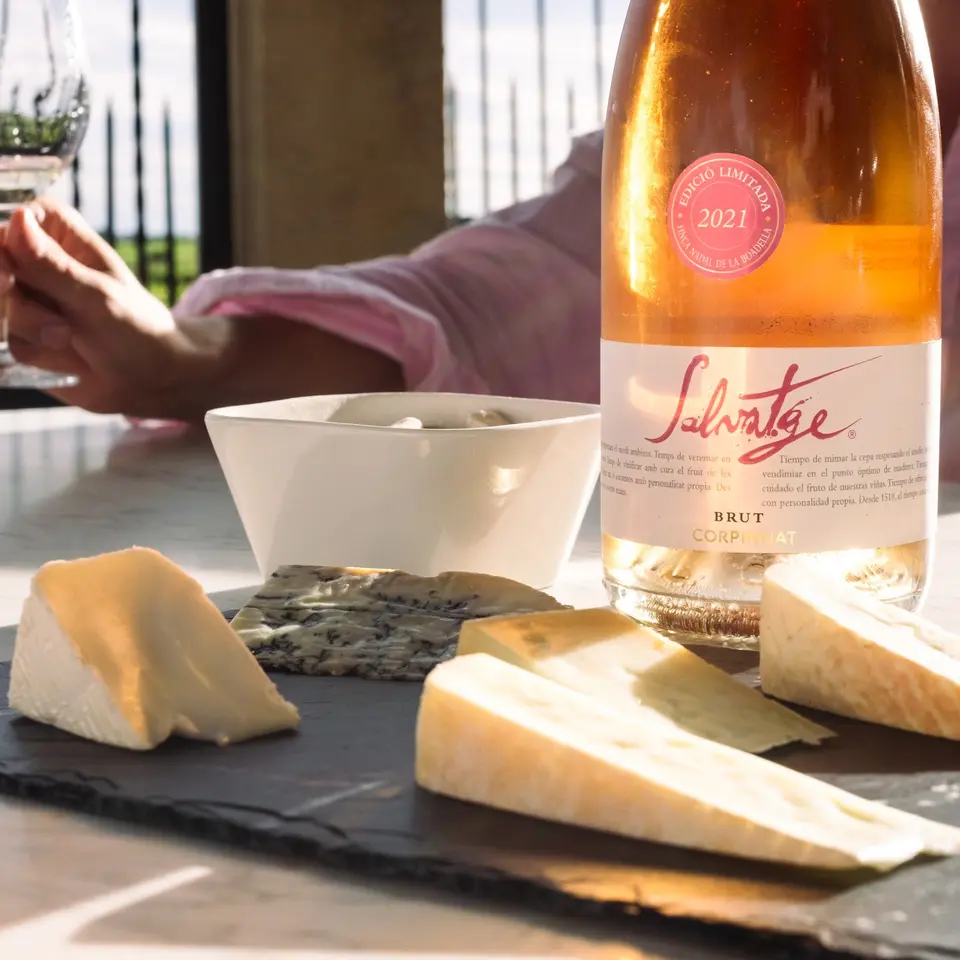 Cheeses on a slate board beside a bottle of rosé sparkling wine, with a hand holding a glass