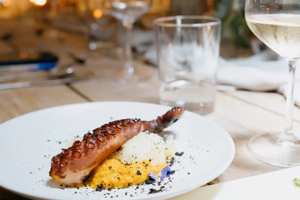 White plate with a grilled octopus tentacle over yellow and white purée, with a glass of white wine beside it