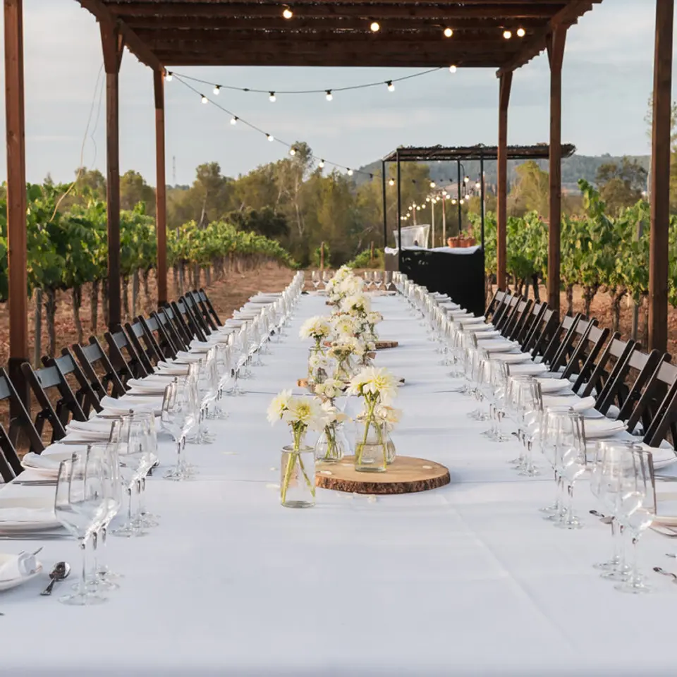 Long table with white flowers and string lights under a pergola, with black chairs on both sides