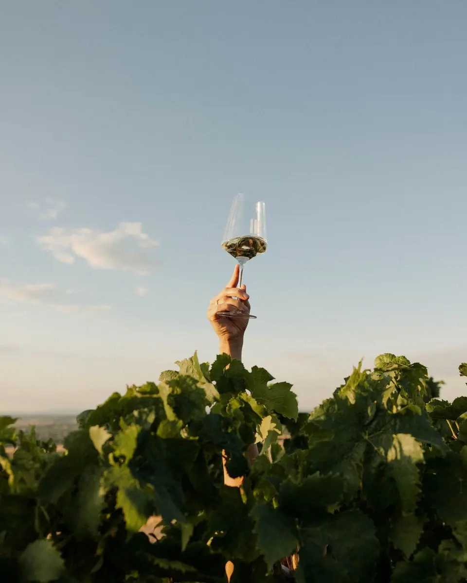 Cellers & Ibérico: A Sensory Pairing Session
